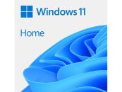 Microsoft Windows 11 Pro 64bit ENG DVD
