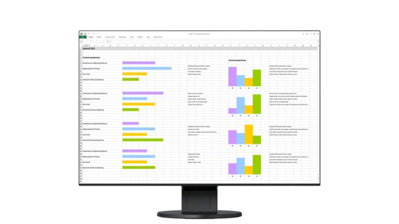 Eizo 24" EV2456-BK IPS LED