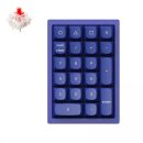   Keychron Q0 Mechanical Swappable RGB USB Gateron G Pro Red Numeric Keyboard Blue