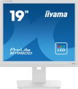 iiyama 19" ProLite B1980D-W5 LED