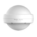   Reyee RG-RAP6202(G) Wi-Fi 5 AC1300 Outdoor Omni-directional Access Point