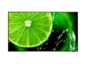 Nec 43" E438 IPS LED Display