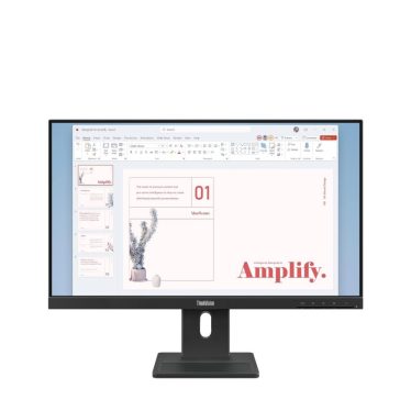 Lenovo 23,8" ThinkVision E24-40 IPS LED