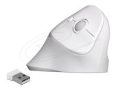 DeLock Ergonomic Wireless vertical Mouse White