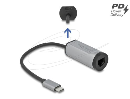 DeLock USB Type-C Adapter to Gigabit LAN with Power Delivery port Grey