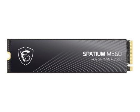 Msi 1TB M.2 2280 NVMe Spatium M560