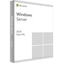   Microsoft Windows Server CAL 2025 English 1pk DSP OEI 5 Clt User CAL