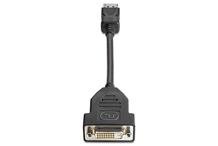 HP DisplayPort - DVI-D (Dual Link) Adapter Black